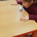 phoca_thumb_m_zajci a vtr 27 Fotogalerie